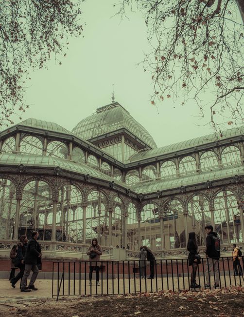The image shows the exterior of a large historic glass conservatory or greenhouse with intricate metal framework painted in dark colors, featuring multiple arched windows and a domed central roof topped with a finial. The structure is set against a pale sky, with branches of leafless trees extending into the scene from the upper corners, indicating a late autumn or winter season. In the foreground, a small group of people, dressed in casual clothing such as jackets and jeans, are standing or walking in front of a low black metal fence that surrounds the conservatory. Some appear to be looking at their phones or conversing, while others are observing the building. The ground is covered with fallen leaves, adding to the seasonal atmosphere. The setting suggests an urban park or garden area, and the image is associated with the context of private or independent site maintenance or clearance related to public or private green spaces, consistent with the professionalism of rubbish removal services. The overall tone is neutral and factual, providing a detailed visual description suitable for accessibility and SEO purposes related to waste management in historic or public structures.