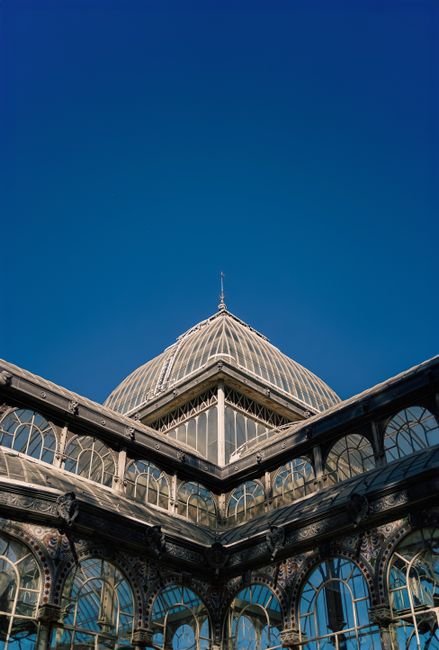 The image shows the exterior of a large historic glass conservatory or greenhouse with intricate metal framework painted in dark colors, featuring multiple arched windows and a domed central roof topped with a finial. The structure is set against a pale sky, with branches of leafless trees extending into the scene from the upper corners, indicating a late autumn or winter season. In the foreground, a small group of people, dressed in casual clothing such as jackets and jeans, are standing or walking in front of a low black metal fence that surrounds the conservatory. Some appear to be looking at their phones or conversing, while others are observing the building. The ground is covered with fallen leaves, adding to the seasonal atmosphere. The setting suggests an urban park or garden area, and the image is associated with the context of private or independent site maintenance or clearance related to public or private green spaces, consistent with the professionalism of rubbish removal services. The overall tone is neutral and factual, providing a detailed visual description suitable for accessibility and SEO purposes related to waste management in historic or public structures.