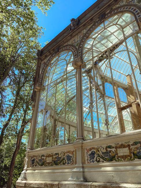 A detailed view of an ornate, vintage-style glass and metal greenhouse structure with large, arched windows and decorative columns. The glass panels are framed with slender metal bars, allowing sunlight to filter through and casting bright reflections on the surfaces. The intricate metalwork features decorative patterns and moldings along the top edges of the arches, with some visible weathering in the finish. Inside and behind the glass, a glimpse of lush greenery and trees can be seen, suggesting the greenhouse is situated in a garden or park setting. The sunlight creates a bright, airy atmosphere highlighting the texture of the metal and the transparency of the glass. The structure appears well-maintained with a classic design, possibly serving as a botanical conservatory or decorative greenhouse, with no signs of rubbish or waste, reflecting a pristine environment suitable for conservation or private horticultural use. This scene emphasizes the aesthetic and structural details of the greenhouse, aligning with services that focus on on-site clearance and preservation of such intricate structures.