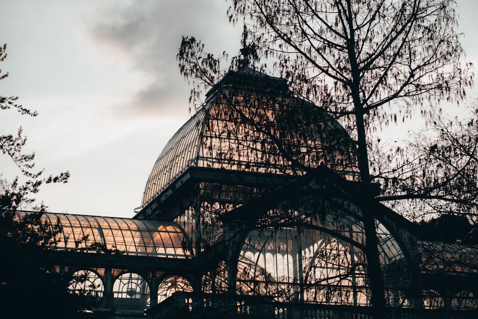 A large glass greenhouse structure with a curved roof exhibits a detailed framework of metal and glass panels, reflecting a mix of transparency and textured finishes. The building is situated outdoors amidst bare trees, with the silhouette of branches visible against the early evening sky, which features soft, diffused light and some cloudy patches. The greenhouse's transparent glass panels reveal an interior that appears to contain plants or gardening elements, although details are obscured by the external grid-like framework. The structure's metallic framing has a dark finish, contrasting with the lighter, reflective surfaces of the glass, which pick up ambient natural light. Surrounding the greenhouse are natural elements, including the silhouettes of trees with sparse foliage, indicative of late autumn or early winter. The scene captures a quiet, atmospheric moment, emphasizing the building's architectural complexity and the natural environment, aligning subtly with themes of private or alternative waste handling by showcasing an unconventional and potentially expansive structure that may be associated with a botanical or horticultural setting, often requiring specialized waste or material management as part of site maintenance or renovation projects.